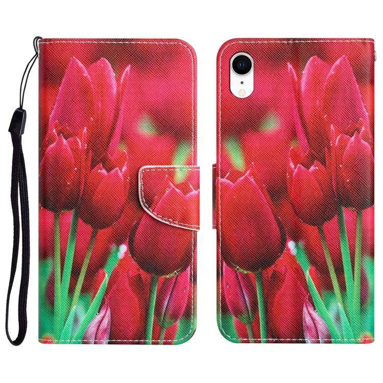 Colored Drawing Leather Phone Case, For iPhone XR