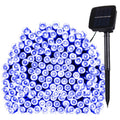 100 LEDs Holiday Decorative Light, 17m Warm White, 17m Blue Light, 17m Colorful Light, 17m White Light