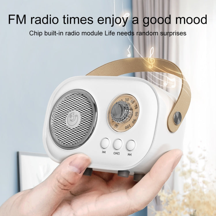 C20 Plus Multifunctional Karaoke Bluetooth Speaker With Microphone (Green)