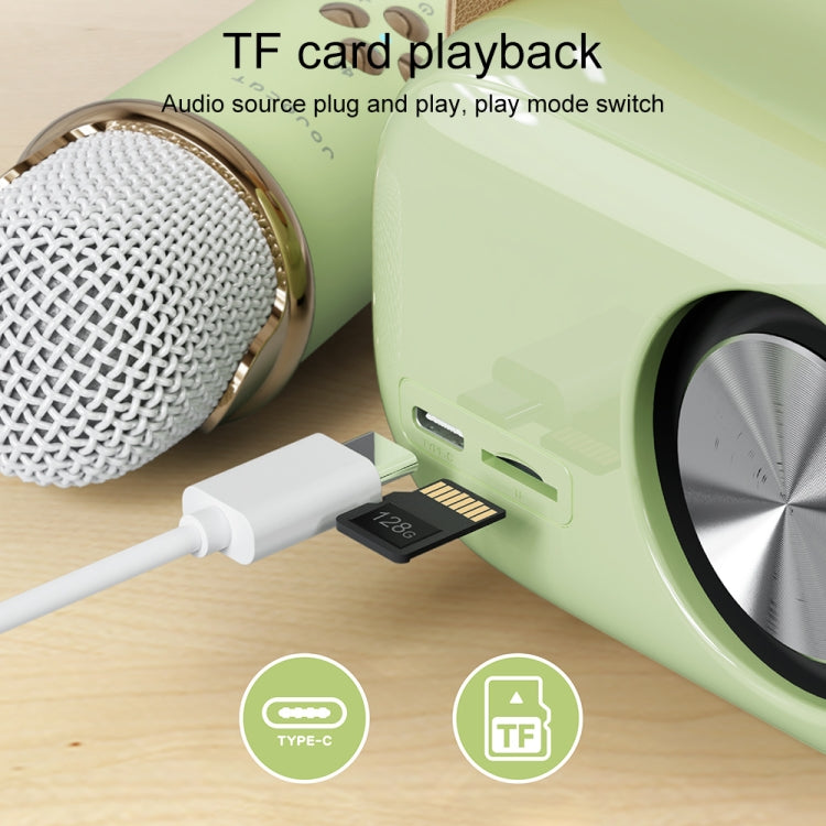 C20 Plus Multifunctional Karaoke Bluetooth Speaker With Microphone (White)