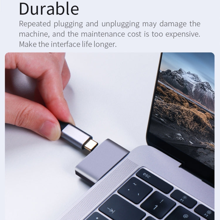 2 x USB-Buchse auf 2 x USB-C / Typ-C Stecker Adapter, 2 x USB-Buchse auf 2 x Typ-C Stecker