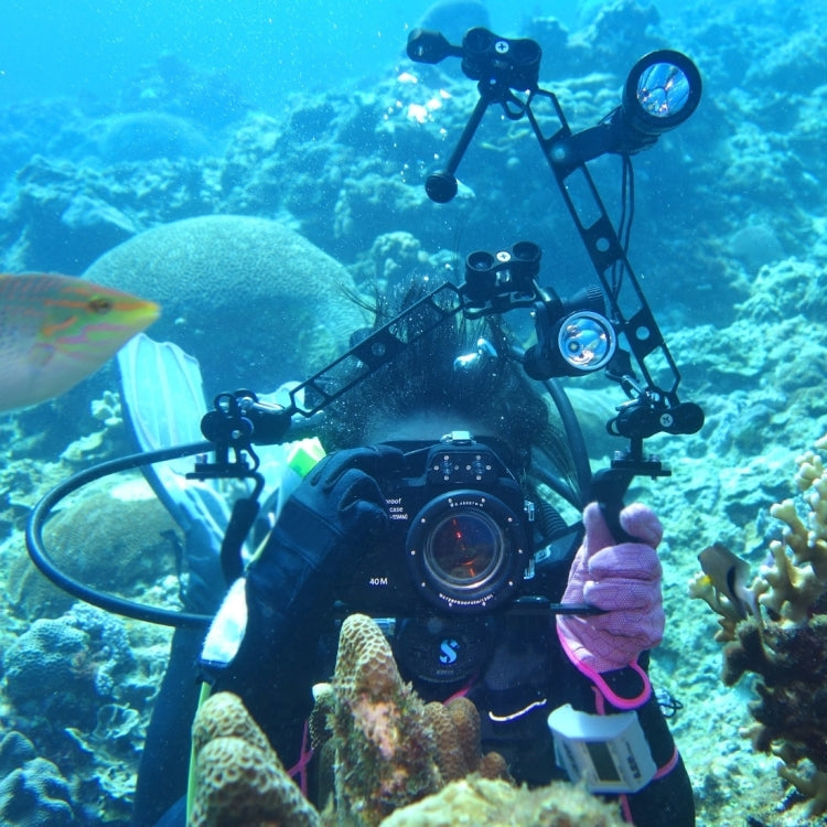PULUZ 12.59 inch 32cm Length 40mm Diameter Dual Balls Carbon Fiber Floating Arm, Ball Diameter: 25mm, Buoyancy: 189g