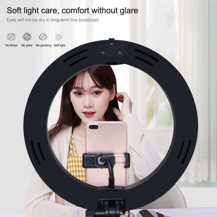 PULUZ 26 cm (10,2 Zoll) LED-Ringlicht, dimmbar, 3 Farbmodi, für Vlogging, Selfies, Fotografie und Videos, mit Bluetooth-Fernauslöser, klappbarem Tischstativ und Handyhalterung