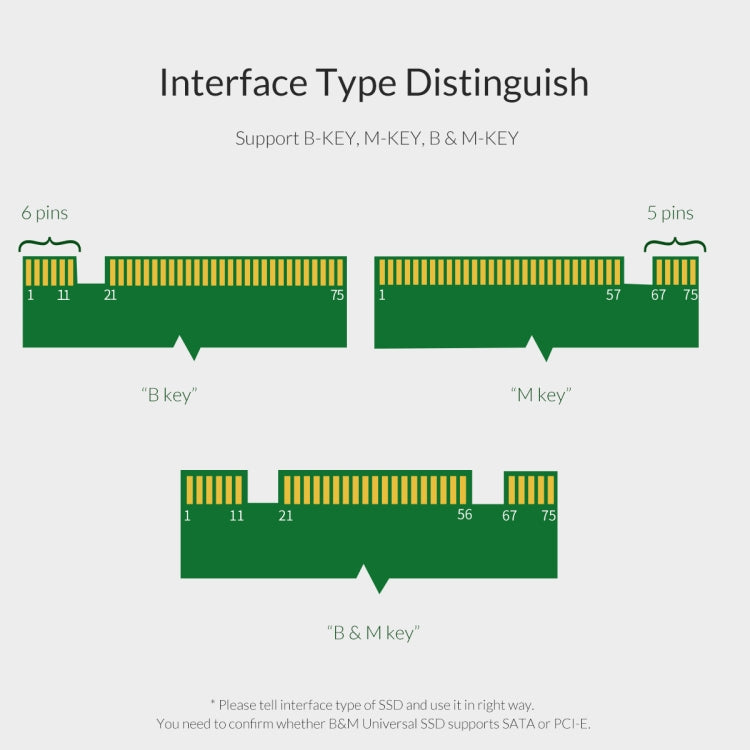 ORICO PDM2 M.2 NVME auf PCI-E 3.0 X4 Erweiterungskarte