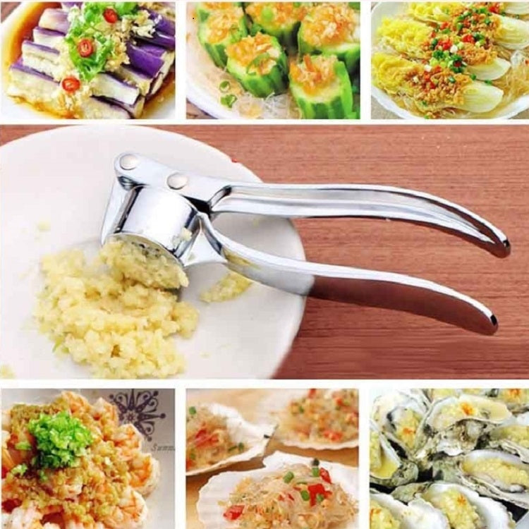 Kitchen Handheld Stainless Steel Ginger Garlic Crusher Garlic Puree Machine, Stainless Steel 3