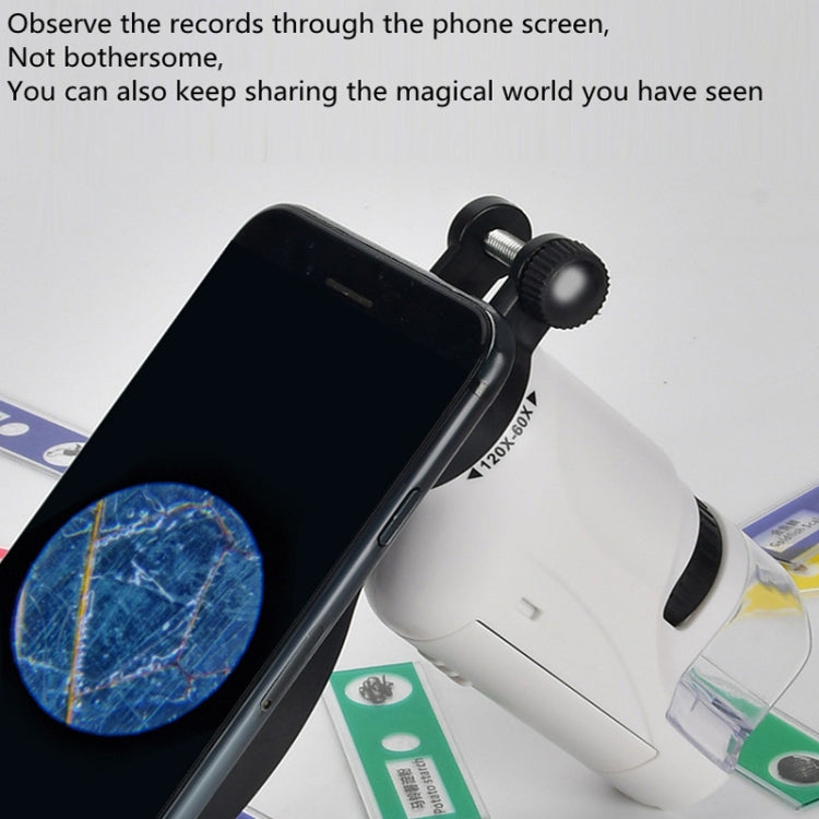Children Handheld Portable Laboratory Equipment Microscope Toys – Portable Digital Microscope