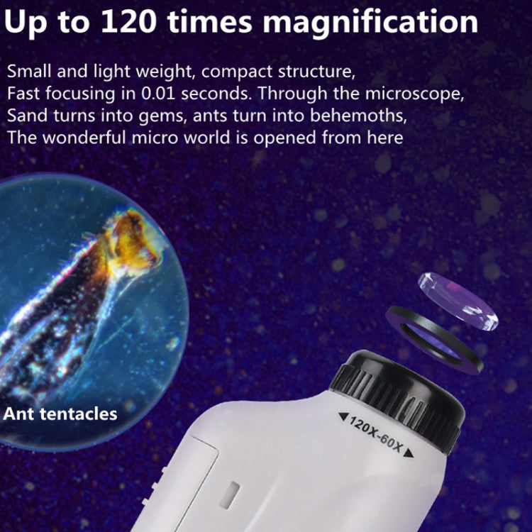 Children Handheld Portable Laboratory Equipment Microscope Toys – Portable Digital Microscope