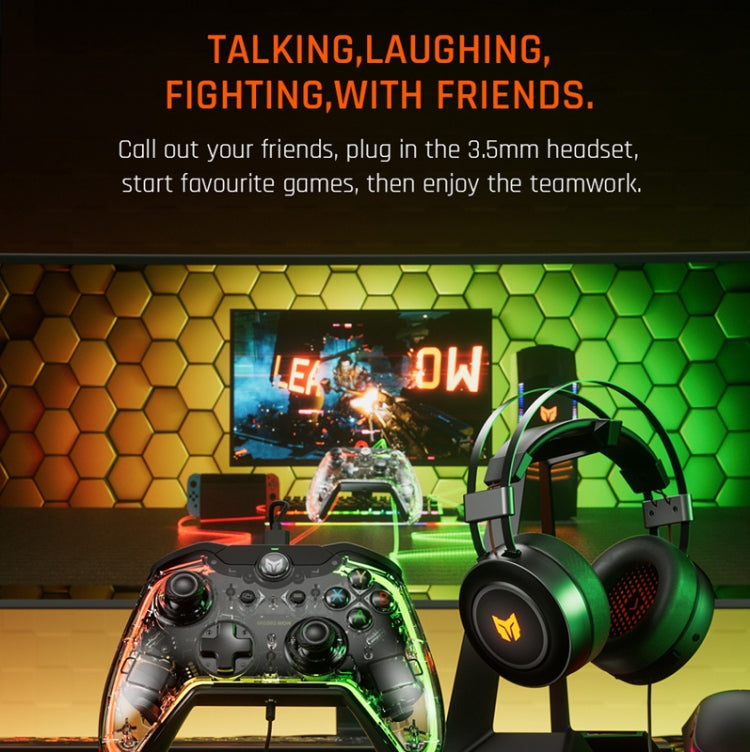 RGB Light Wired Gamepad Controller For PC/Switch, BIGBIGWON C1 S