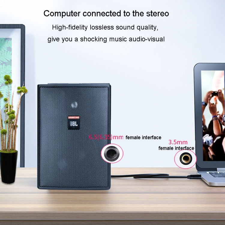 JINGHUA 3,5 mm auf 6,35 mm Audiokabel Verstärker Gitarrenkabel, 0,5 m, 1,5 m, 3 m, 5 m