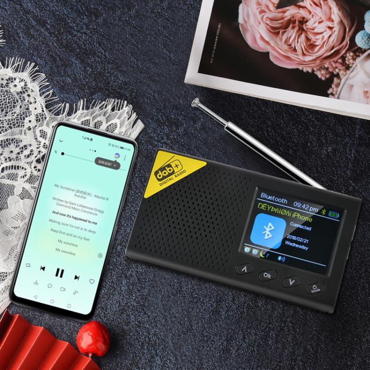 Portable Digital Radio In-Car DAB Digital Radio, DAB-PC1