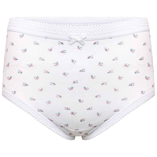 Pack of 6 Women's 100% Cotton Super Soft Maxi Briefs Full Coverage Breathable Everyday Underwear Assorted Colors Regular Plus Sizes by Sock Stack